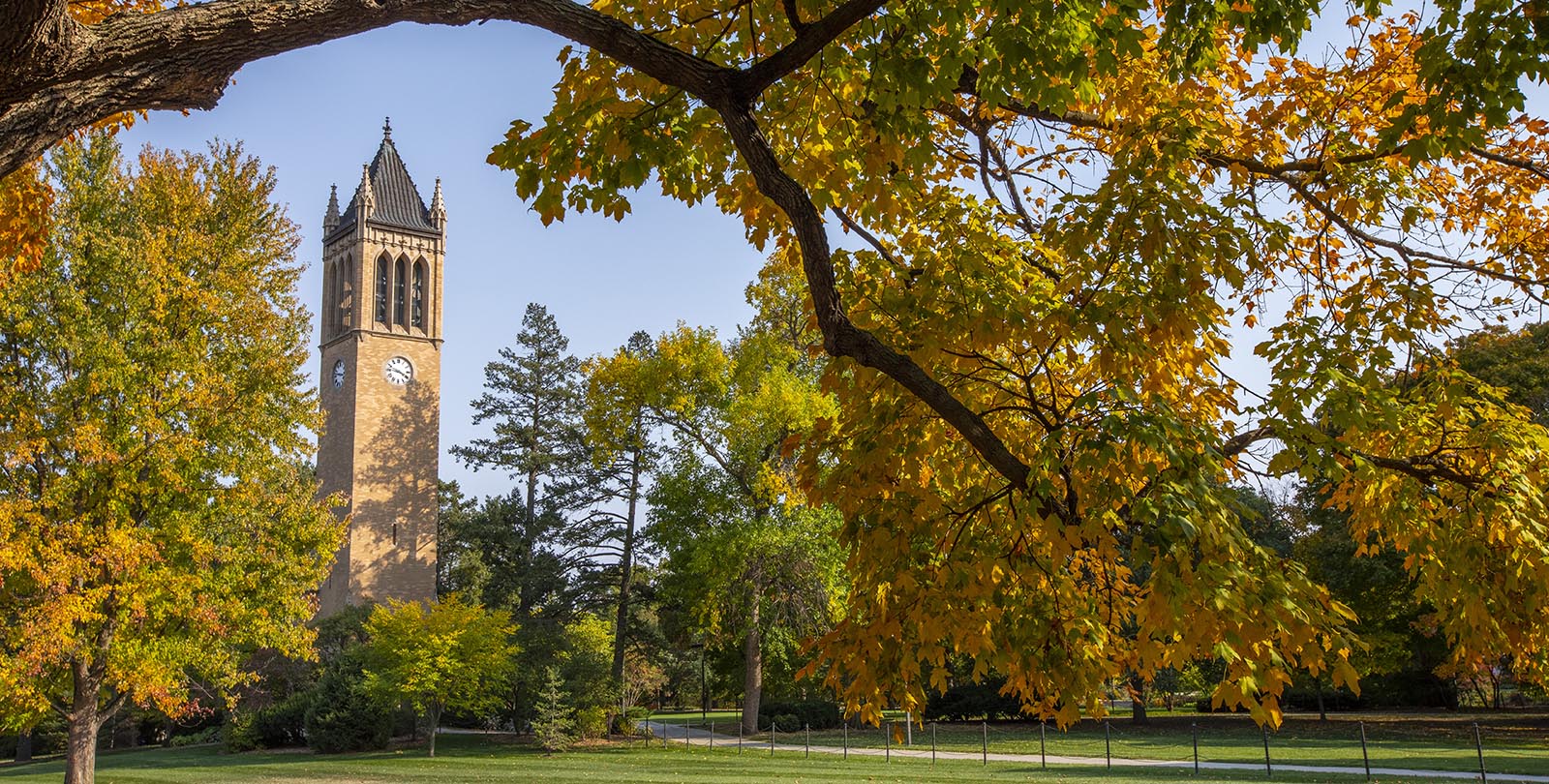 Fall view of the campanile on central campus.